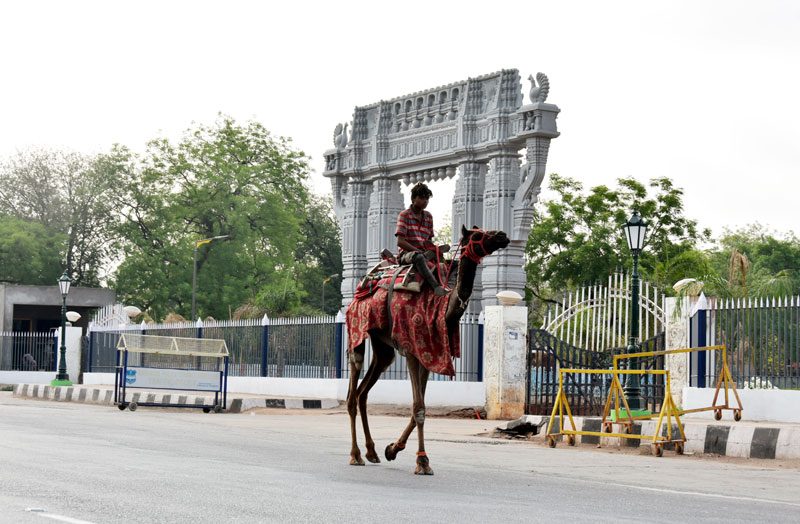 అభివృద్ధికే ప్రజల మద్దతు