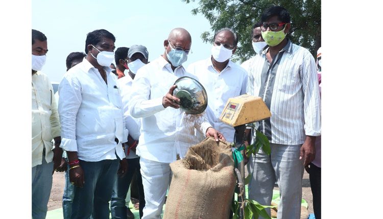 దేశానికే ఆదర్శంగా తెలంగాణ వ్యవసాయ రంగం