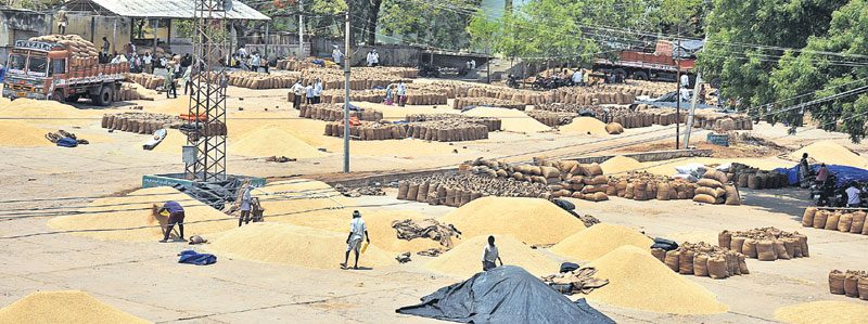 పాలమూరులో బంగారం
