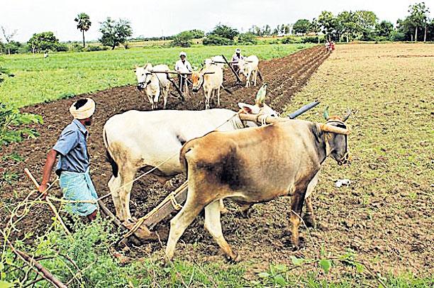 లోతు దుక్కులు మేలు