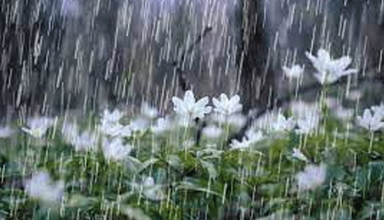 వికారాబాద్ జిల్లాలో భారీ వర్షం