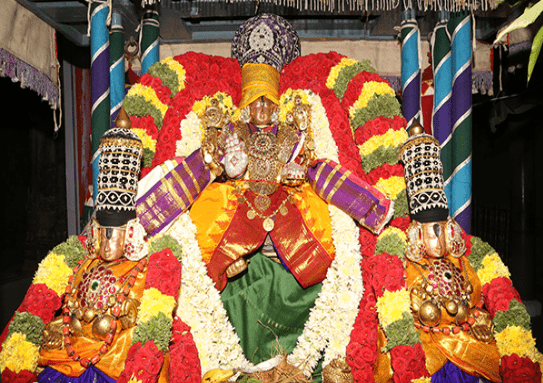 భోగితేరుపై శ్రీ దేవి, భూదేవి స‌మేత శ్రీ గోవింద‌రాజ‌స్వామివారు…