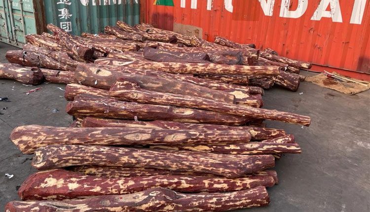 రూ.5.6 కోట్ల విలువైన ఎర్ర‌చంద‌నం ప‌ట్టివేత‌