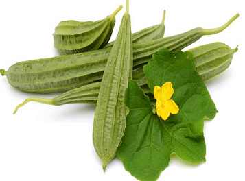 బీరకాయ… తో బోలెడు ఆరోగ్య ప్రయోజనాలు…!