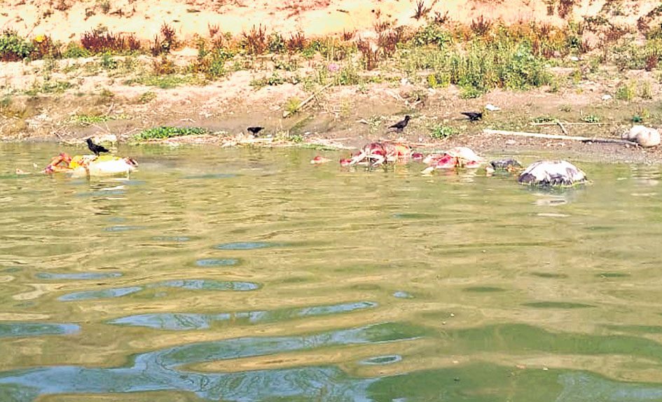 శవాల ప్రవాహం!