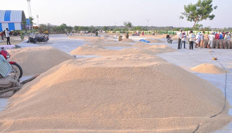 ఊరూరా ధాన్యం కాంటాలు..