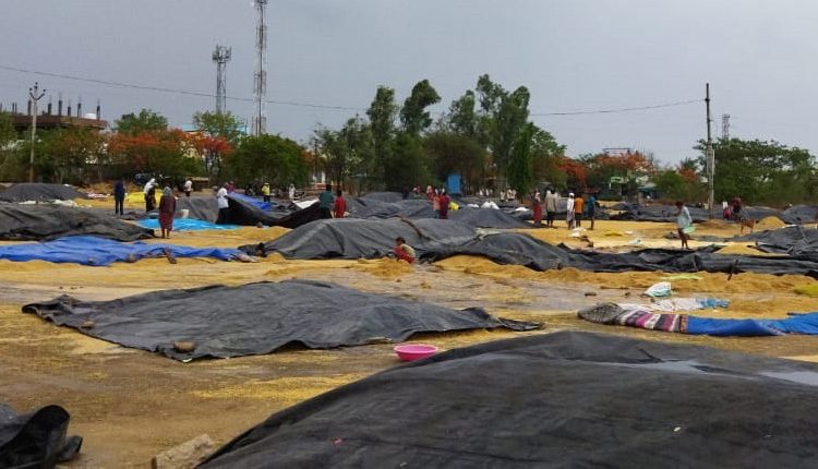 తడిసిన ధాన్యం కొనుగోలు చేస్తాం