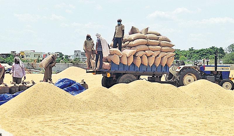 జోరుగా ధాన్యం కొనుగోళ్లు