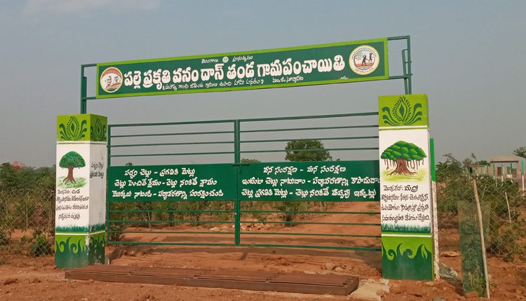 పరిశుభ్ర ంగా పల్లెలు