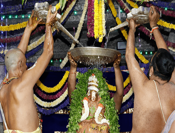 రెండో రోజుకు చేరుకున్నశ్రీ పద్మావతి అమ్మవారి వసంతోత్సవాలు