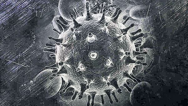 కోలుకొన్నాక బూజు బెడద!