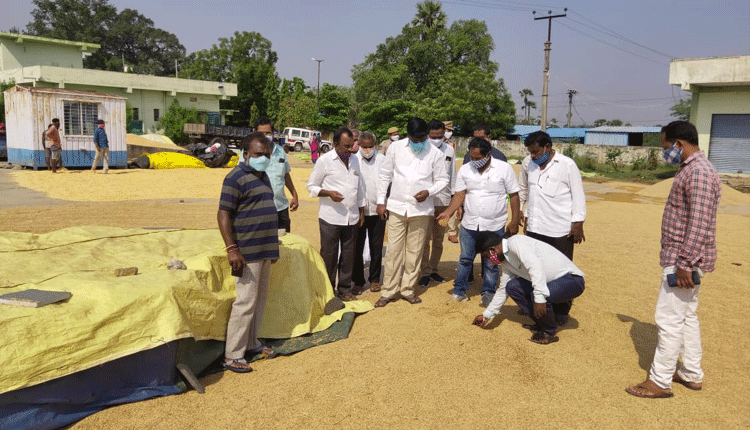 తడిసిన ధాన్యాన్ని పరిశీలించిన ఎమ్మెల్యే పెద్ది