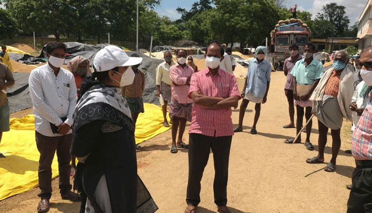 కొనుగోలు కేంద్రాలను సందర్శించిన కలెక్టర్‌ హరిత