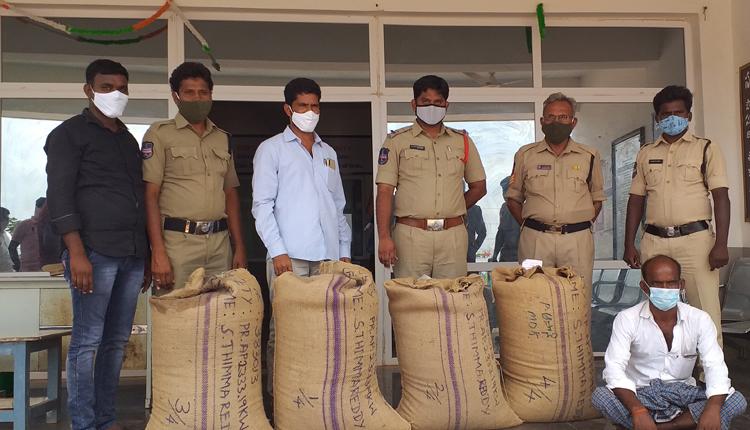 240 కేజీల పత్తి విత్తనాలు పట్టివేత