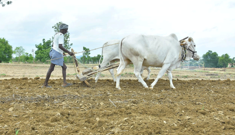 ప్రణాళికలు సిద్ధం