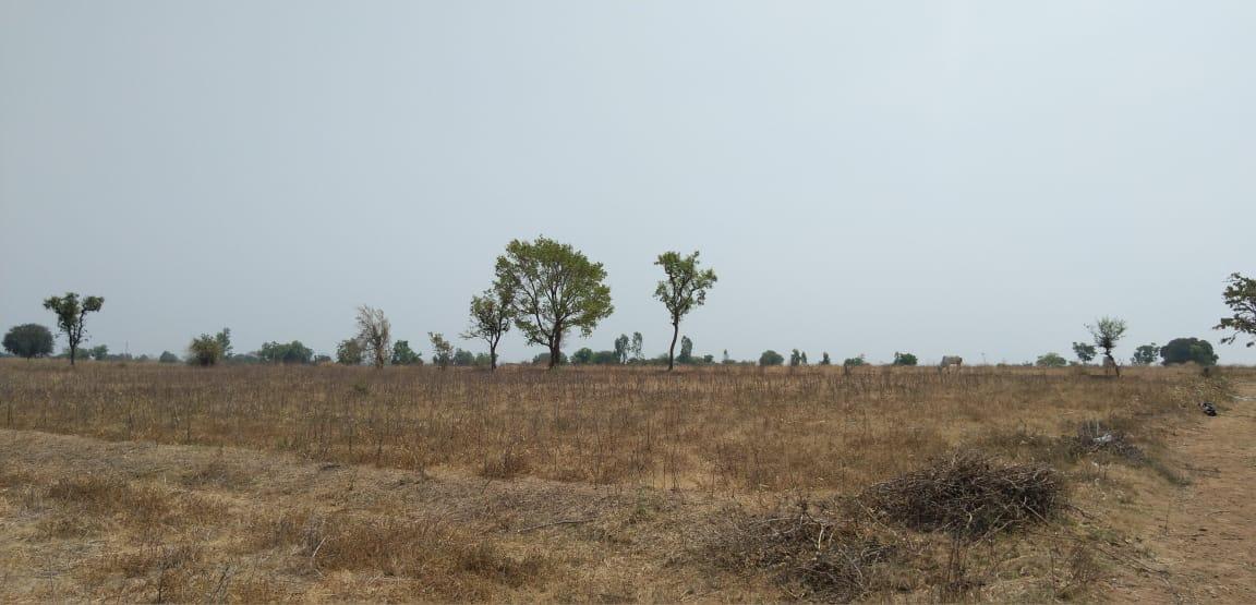 మార్కండేయతో.. మహర్దశ