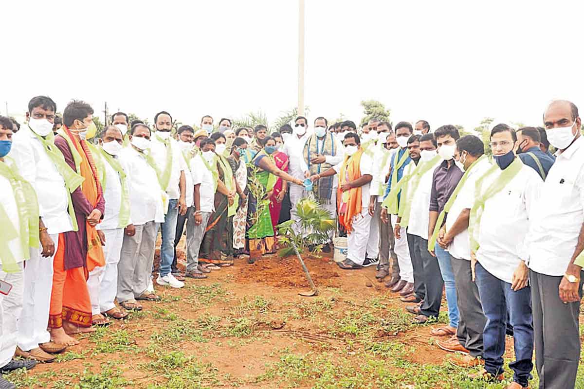 పచ్చదనంతోనే భావితరాల భవిష్యత్‌