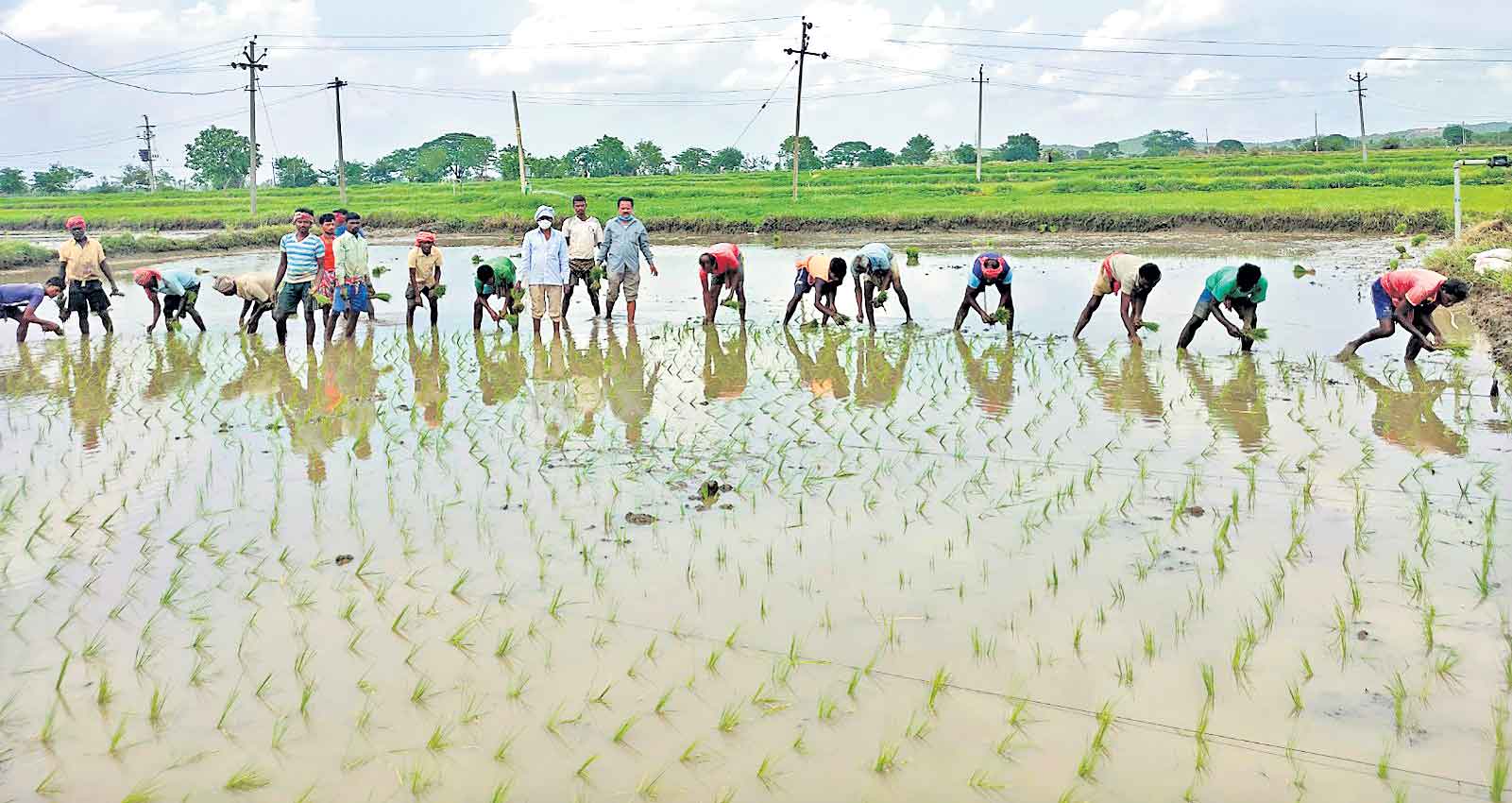 వడ్లకొండ తెలంగాణ