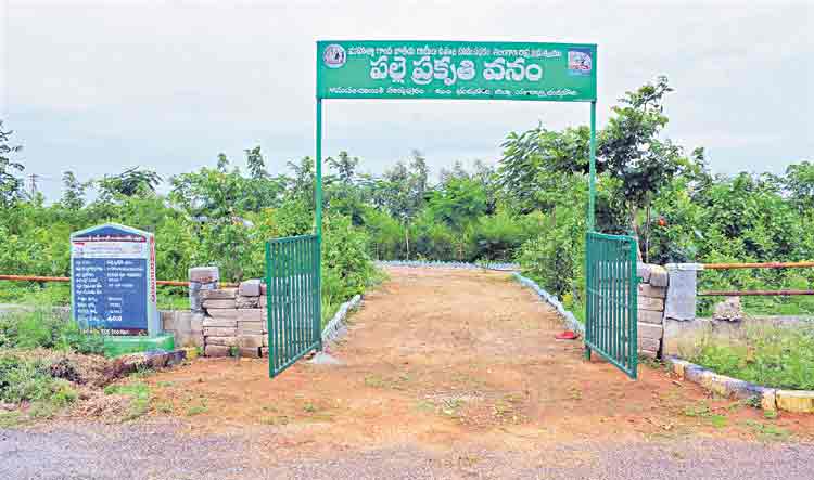 హన్మాపురంలో ప్రగతి కాంతులు