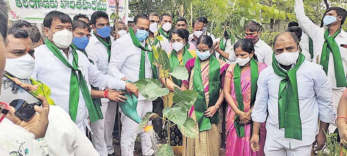 హరితహారంతో ఆకుపచ్చ తెలంగాణ