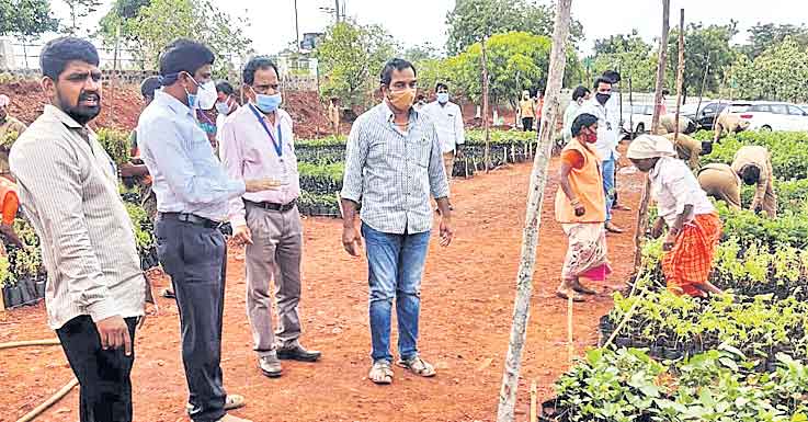 నర్సరీలో మొక్కల పెంపకంపై శ్రద్ధ చూపాలి
