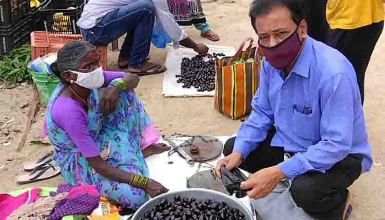 అల్లనేరేడు..మధుమేహగ్రస్తులకు సంజీవని