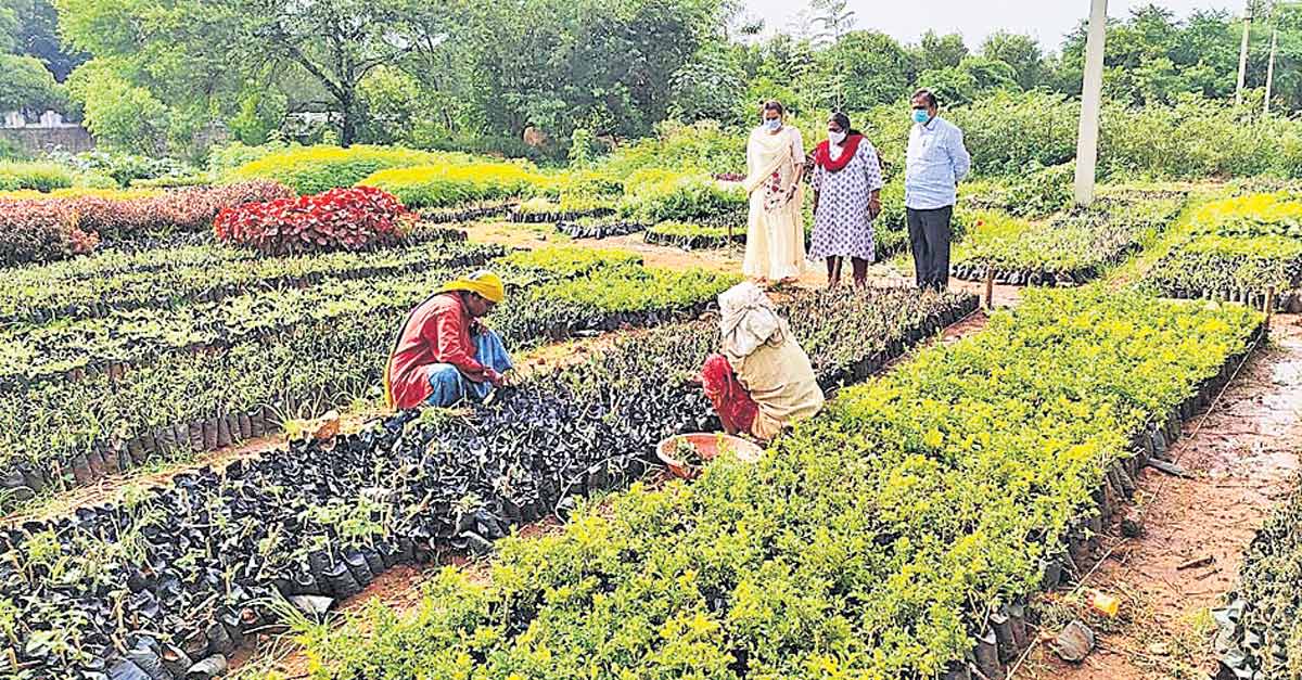 హరితహారాన్ని విజయవంతం చేద్దాం