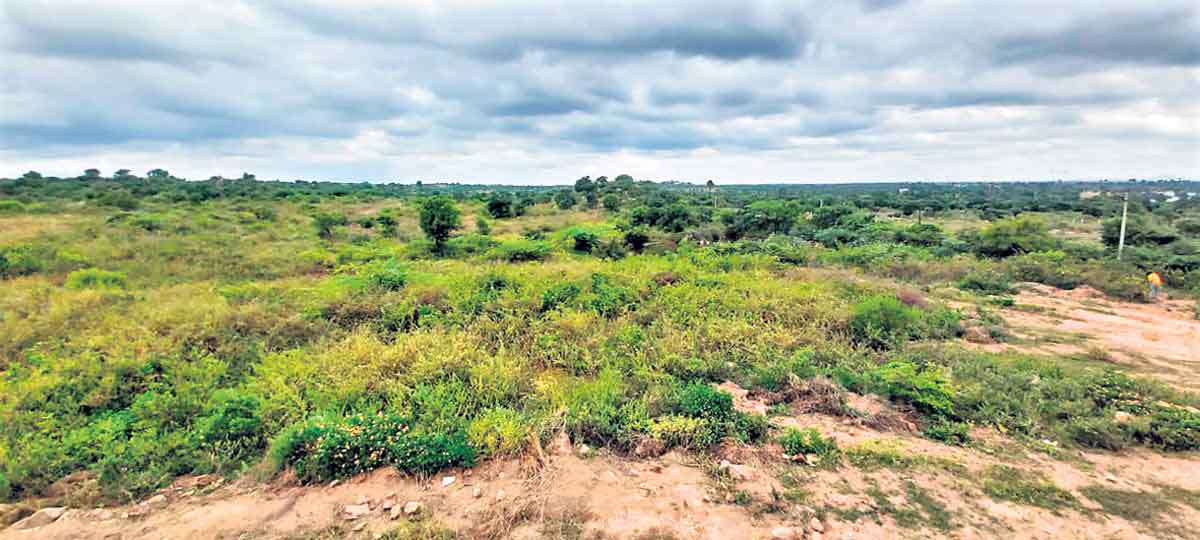 మాదారంలో ఇండస్ట్రియల్ పార్కు