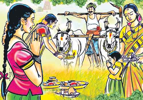 రైతన్నల భక్తి వేడుక ఏరువాక యజ్ఞం