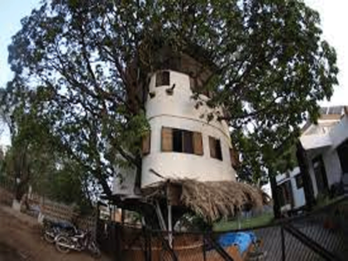 ప‌ర్యావ‌ర‌ణ హితం : చెట్టుపై ఇల్లు కట్టిన ఐఐటీయ‌న్