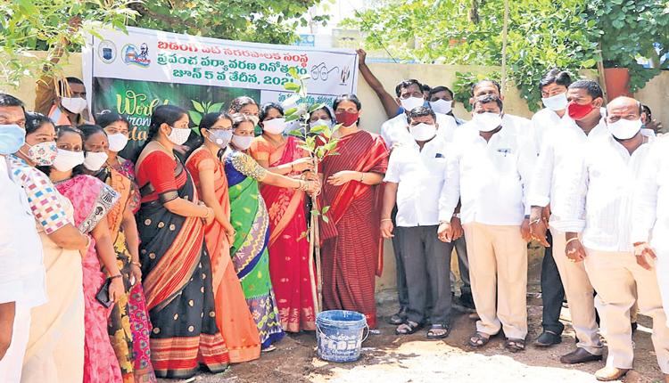 మానవ మనుగడకు మొక్కలు నాటాలి