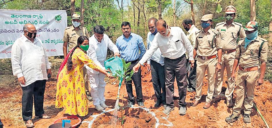 పర్యావరణ పరిరక్షణకు ఎఫ్‌డీసీ కృషి
