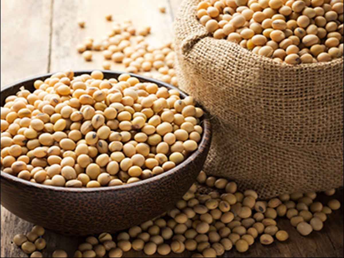 ప్రోటీన్ వ‌న‌రు : రోగనిరోధక శక్తి కోసం సోయా ఫుడ్స్ ఉత్త‌మం