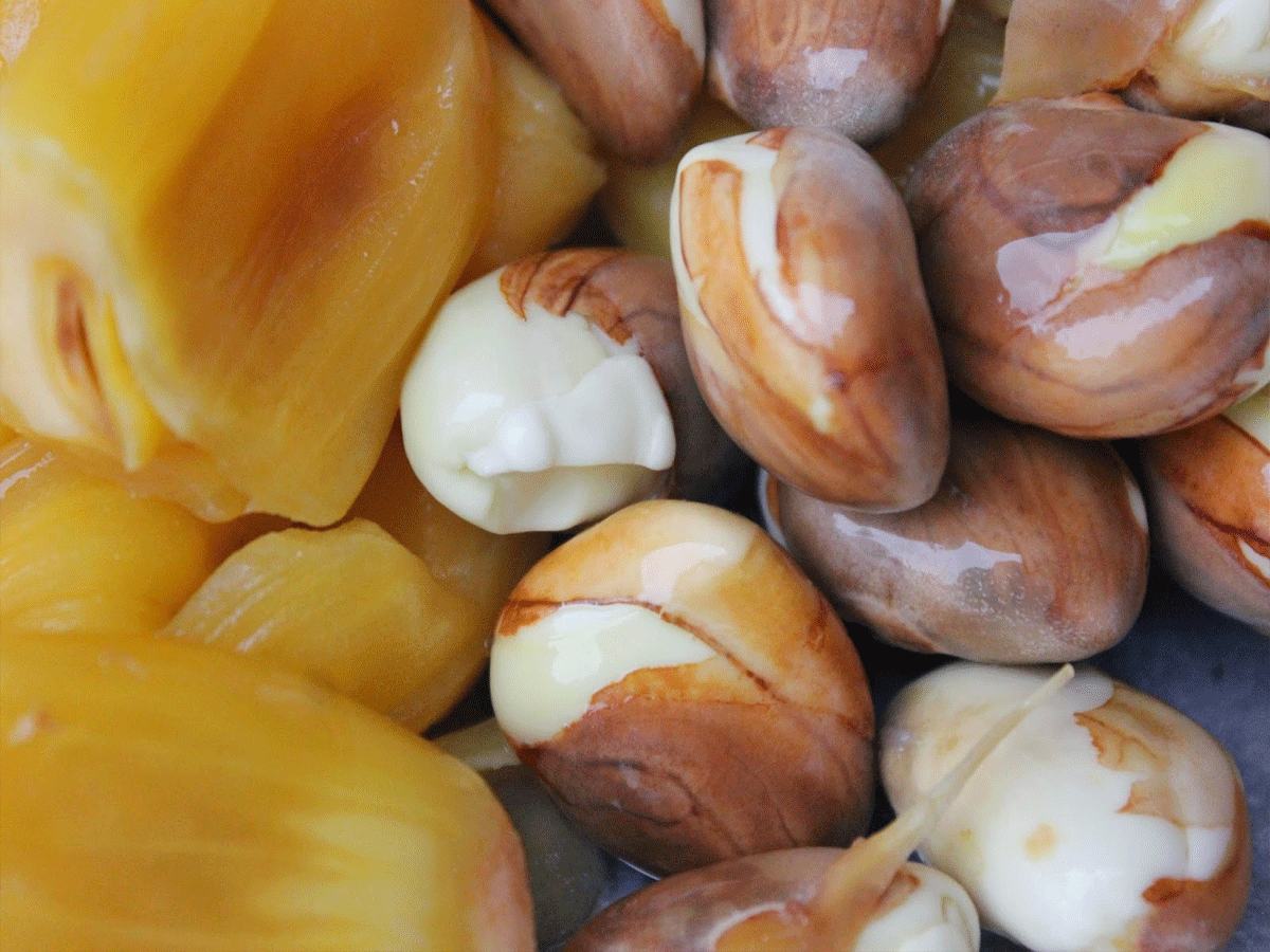 ఇమ్యూనిటీ బూస్ట‌ర్ : ప‌న‌స గింజ‌ల్లో దాగి ఉన్న ఆరోగ్యం