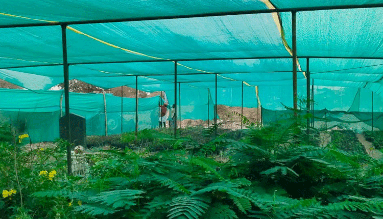 హరితహారానికి పంచాయతీలు సిద్ధం