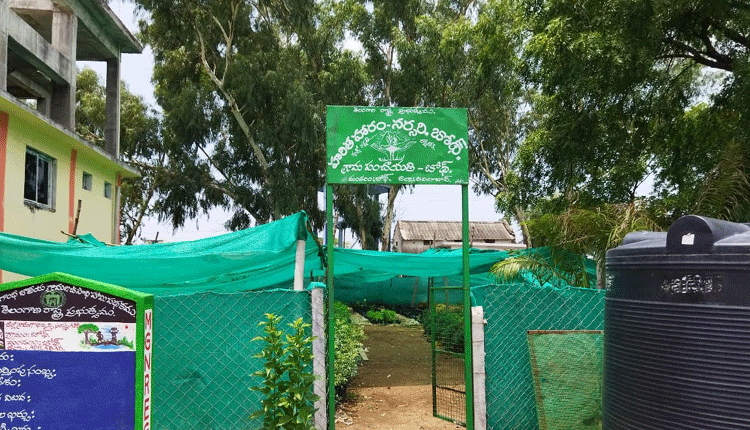 హరితహారానికి మొక్కలు సిద్ధం