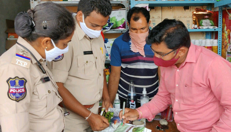 విత్తనాల ఎంపికలో అప్రమత్తంగా ఉండాలి