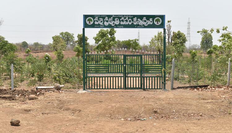 ప్రకృతి వనాలతో ఆహ్లాదం