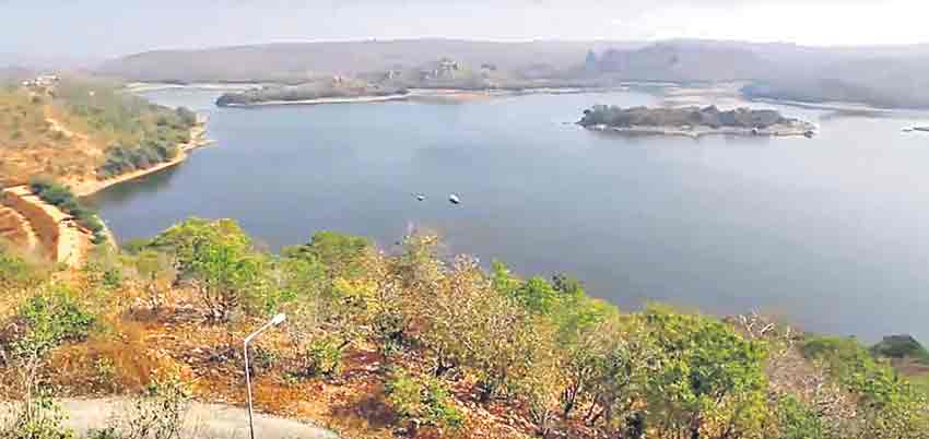 సింగరేణి కాలరీస్‌ కంపెనీ పూర్వనామం?