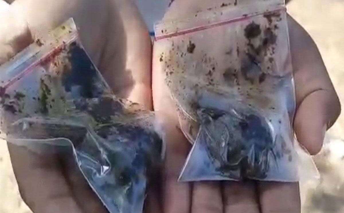 ఇక ఆన్‌లైన్‌లో ఆనంద‌య్య మందు.. వెబ్‌సైట్ రెడీ..