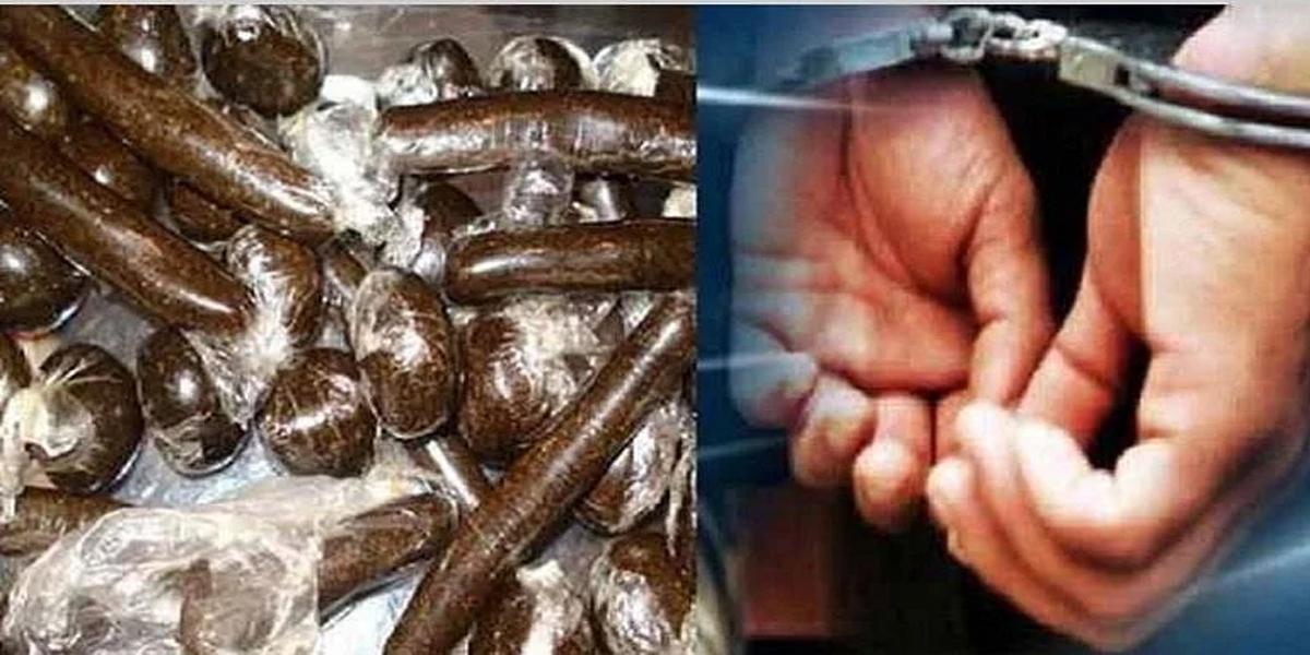 ఉత్తరాఖండ్‌లో 8వేల కిలోల చరాస్‌ పట్టివేత