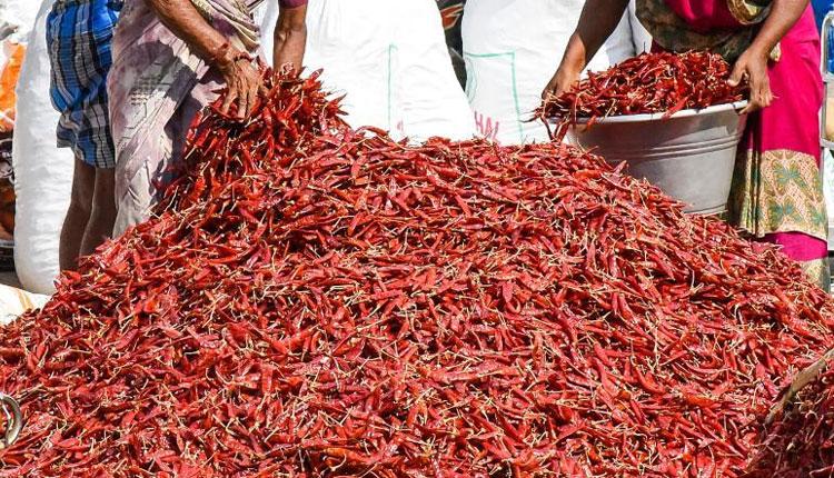 నర్సంపేటలో రూ.41 లక్షల విలువైన నకిలీ విత్తనాలు పట్టివేత