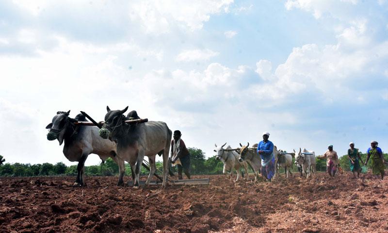 ధరణీ విజయం