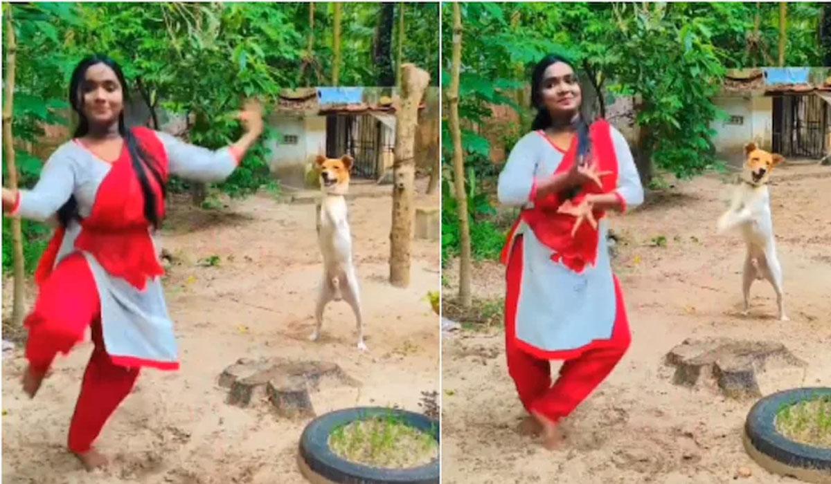 డ్యాన్స్ చేసిన డాగ్.. వీడియో వైర‌ల్