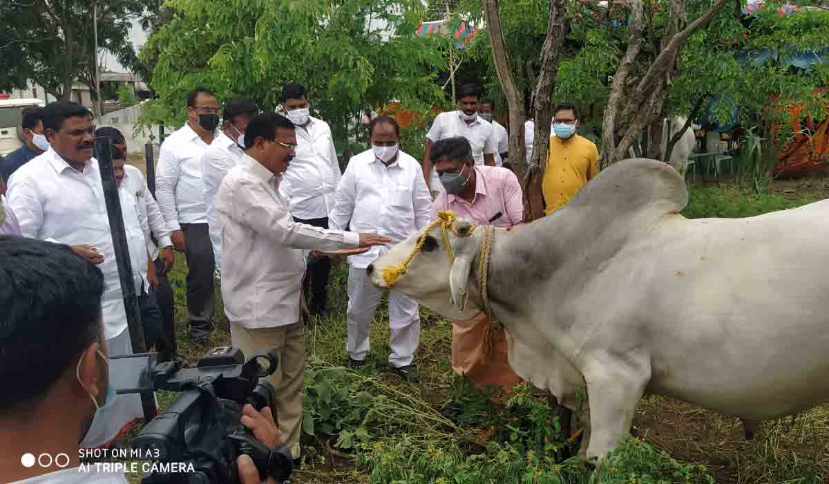ఏరువాక పున్నమి.. నాగ‌లి ప‌ట్టిన మంత్రులు
