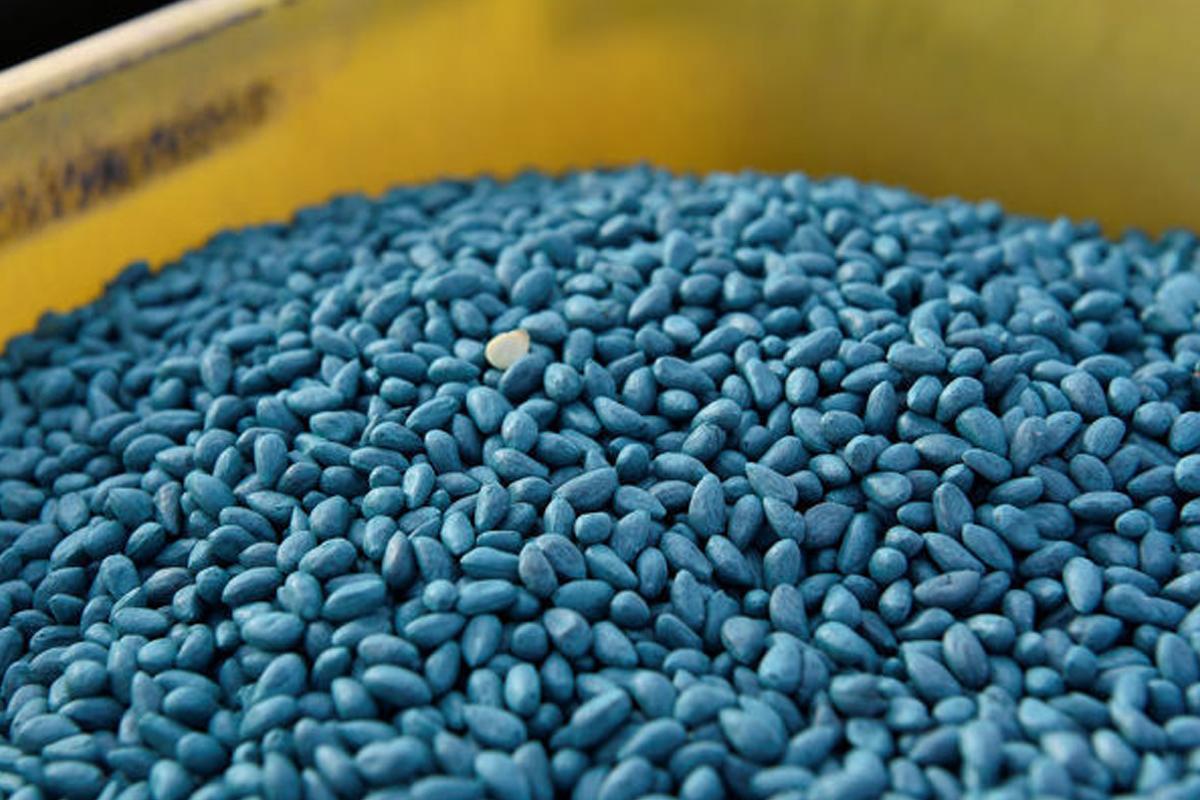 Khammam | ఖమ్మం జిల్లాలో భారీగా నకిలీ పత్తి విత్తనాలు పట్టివేత