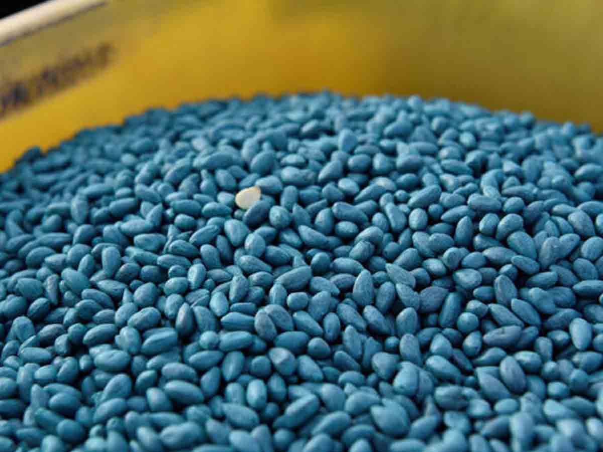 నల్లగొండలో భారీగా నకిలీ విత్తనాలు స్వాధీనం.. 13 మంది అరెస్టు