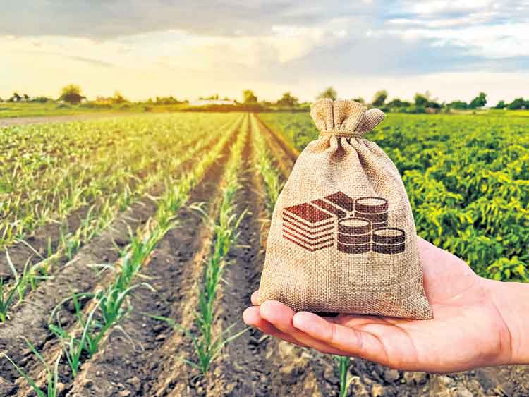 వ్యవసాయానికే ప్రాధాన్యం