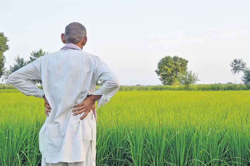 ‘నాటు’ పద్ధతికి చెక్‌