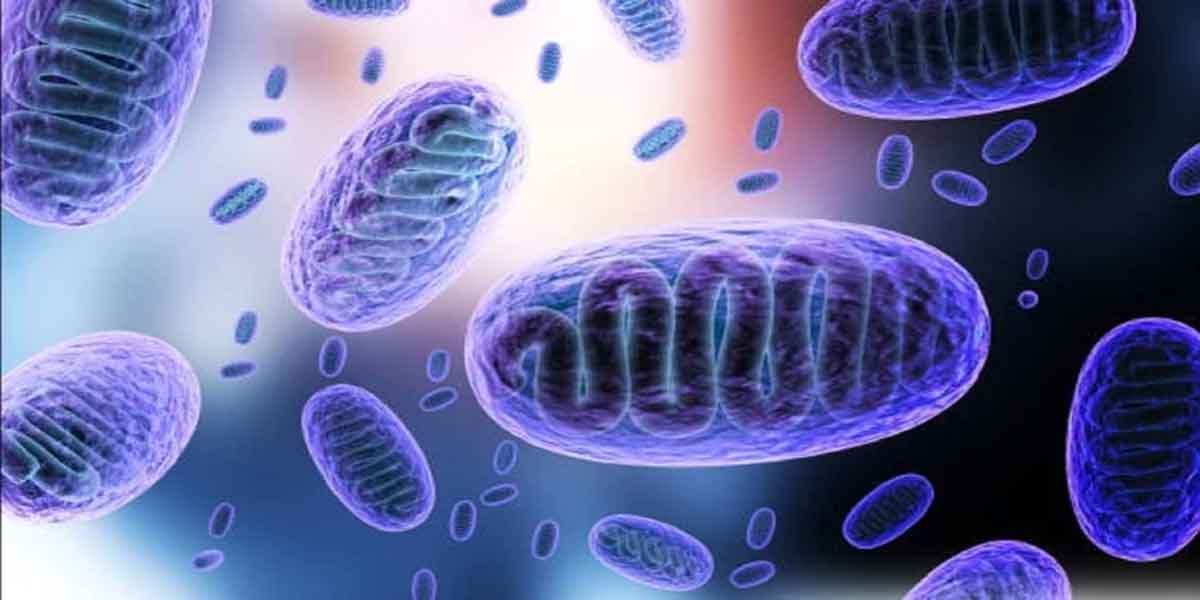 Green Fungus : దేశంలో తొలిసారిగా గ్రీన్ ఫంగస్ కేసు నమోదు!